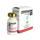 Kegunaan Obat Cefotaxim