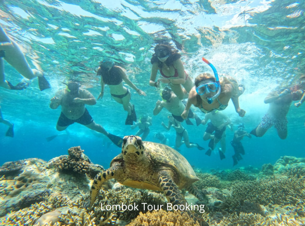 paket wisata di lombok