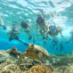 paket wisata di lombok
