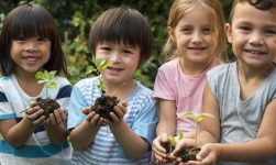 Sinergi DLH dengan Sekolah dalam Edukasi Lingkungan