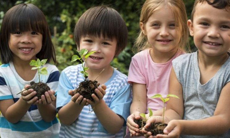 Sinergi DLH dengan Sekolah dalam Edukasi Lingkungan